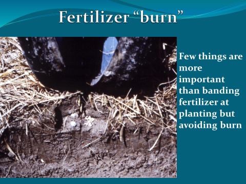 Fertilizer placement